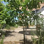 Sweetsuites 40a Lavendelhaus Mühlhausen