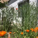 Apartmán Sweetsuites 40a Lavendelhaus *
