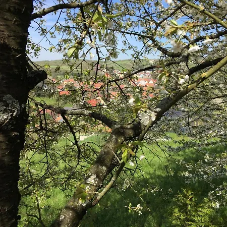 Apartmán Sweetsuites 40a Lavendelhaus