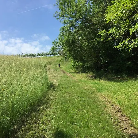 Sweetsuites 40a Lavendelhaus Lägenhet *