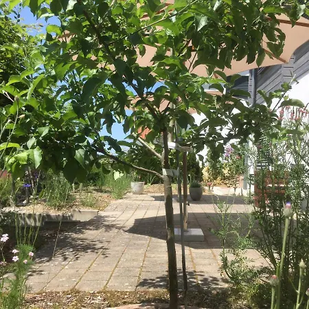 Sweetsuites 40a Lavendelhaus Mühlhausen