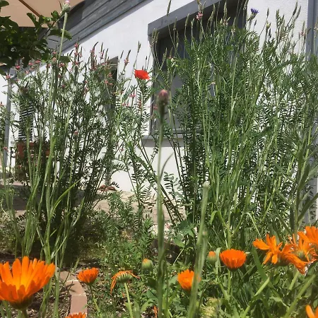 Appartement Sweetsuites 40a Lavendelhaus *