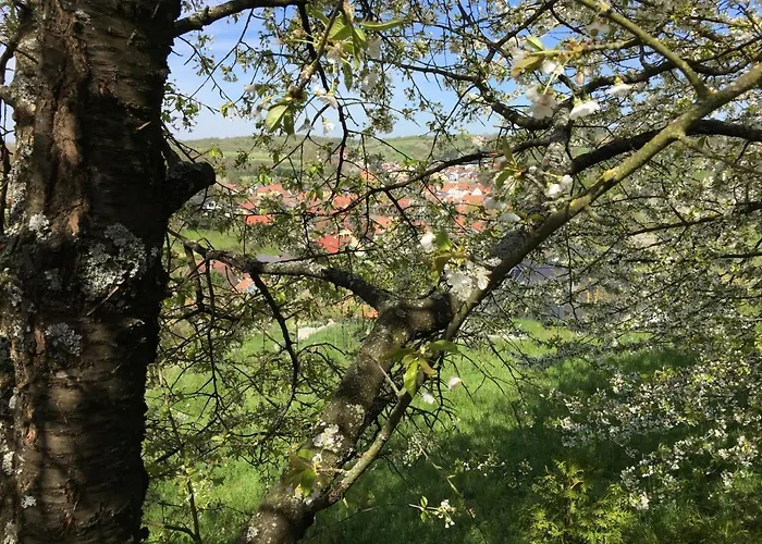 Apartamento Sweetsuites 40a Lavendelhaus