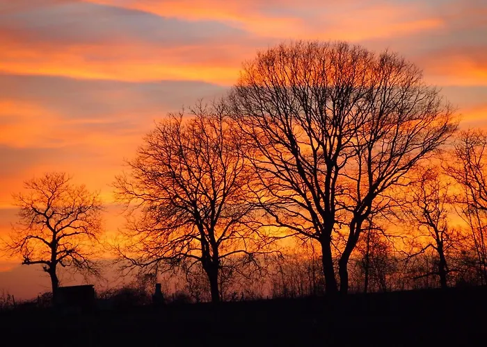 Sweetsuites 40a Lavendelhaus