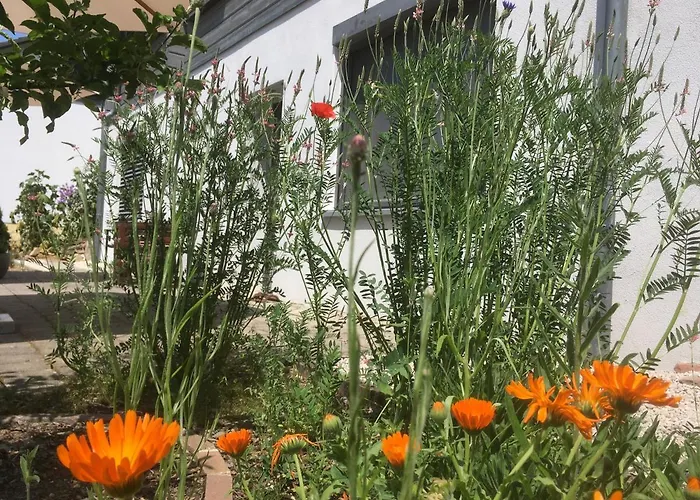 Apartamento Sweetsuites 40a Lavendelhaus *